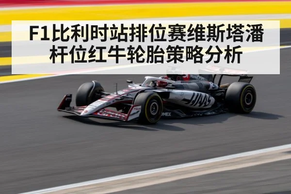 F1比利时站排位赛维斯塔潘杆位红牛轮胎策略分析