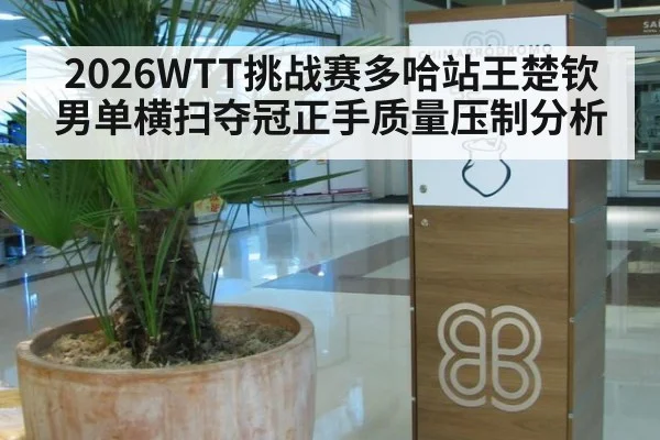 2026WTT挑战赛多哈站王楚钦男单横扫夺冠正手质量压制分析