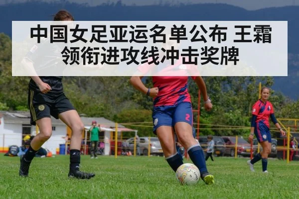 中国女足亚运名单公布 王霜领衔进攻线冲击奖牌 | kaiyun